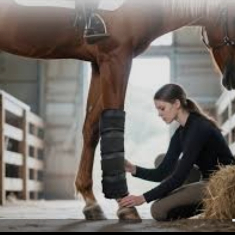 Hudson Comfort Multi-Function Black Horse Leg Ice Pack